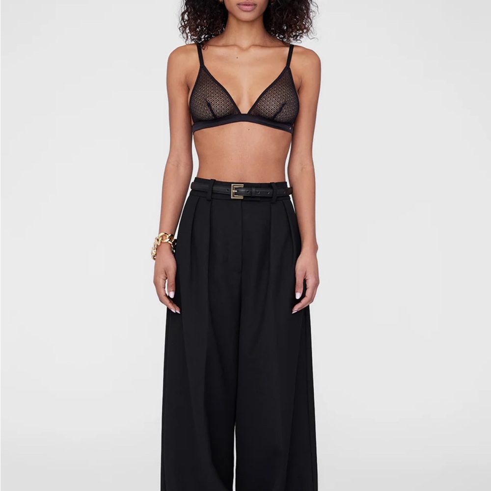 Anine bing sheer bralette